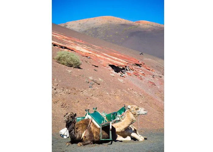 Palmira * Пуерто-дель-Кармен