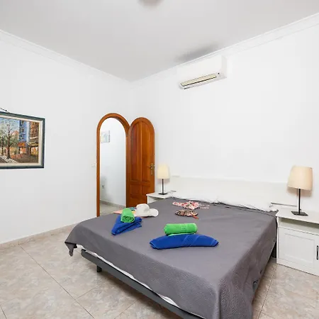 Palmira فيلة بويرتو ذيل كارمين